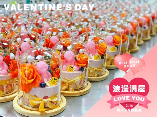 浪漫满屋（适合两个人浪漫或送闺蜜） 商品图4