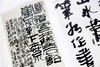 《内美天成·王中秀书画集》定价:298 洪再新 沈临枫 主编 王中秀 著 中国美术学院 正版品牌直销 商品缩略图2