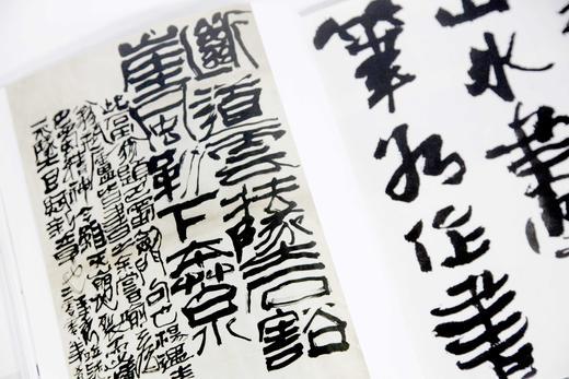 《内美天成·王中秀书画集》定价:298 洪再新 沈临枫 主编 王中秀 著 中国美术学院 正版品牌直销 商品图2