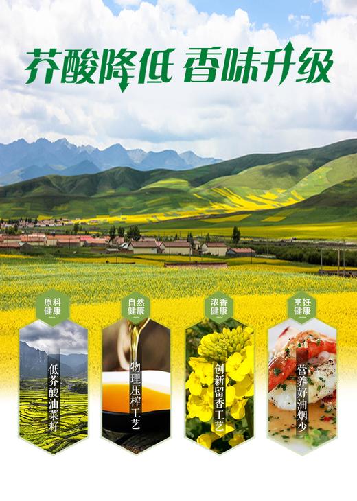 鲁花低芥浓香菜籽油5L  22154316 商品图2