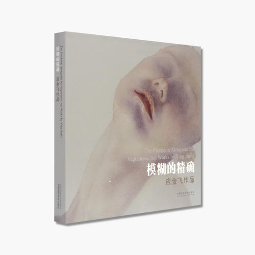 《模糊的精确：应金飞作品》定价：280 应金飞 著 中国美术学院 正版品牌直销 商品图1