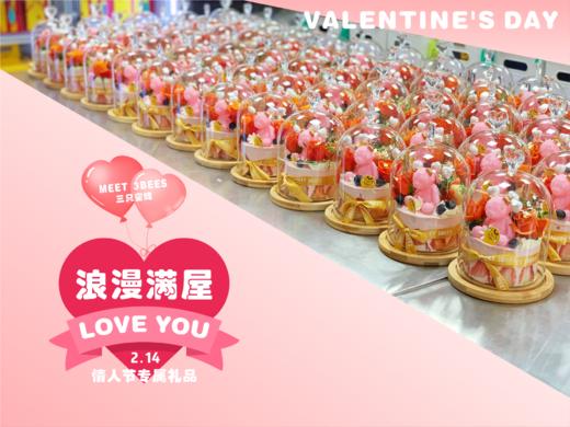 浪漫满屋（适合两个人浪漫或送闺蜜） 商品图2