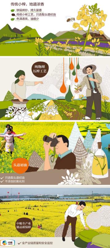 中粮初萃浓香菜籽油5L  22118752 商品图1