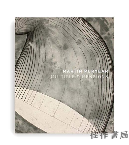 Martin Puryear: Multiple Dimensions/马丁·普耶尔：多维度 商品图0