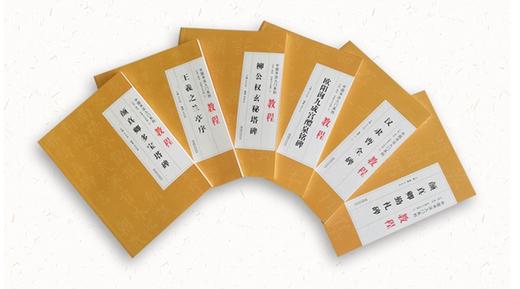 中国书法入门系列教程全套6册-临摹练习教材碑帖 学生练字毛笔书法 楷书字帖书法入门 毛笔初学正楷毛笔字帖 商品图1