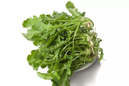 自产/  野荠菜（地菜） 商品图0