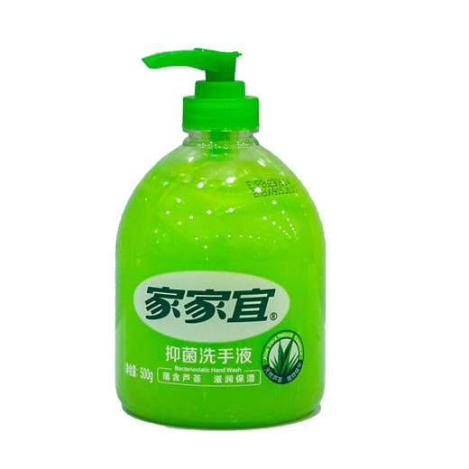 家家宜抑菌洗手液【500g】 商品图0