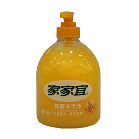 家家宜抑菌洗手液【500g】