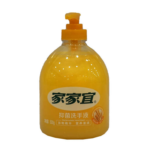 家家宜抑菌洗手液【500g】 商品图0