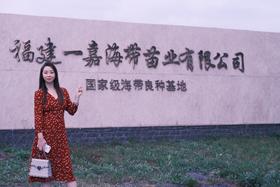 霞浦头道紫菜-寻找中国地理标志产品