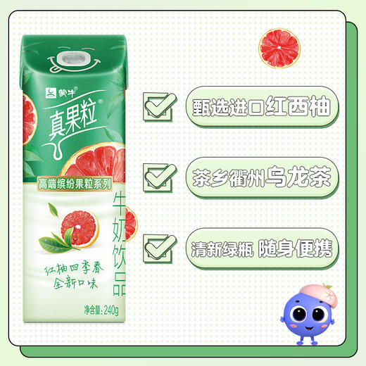 蒙牛高端真果粒红柚四季春味240g*10盒 商品图2