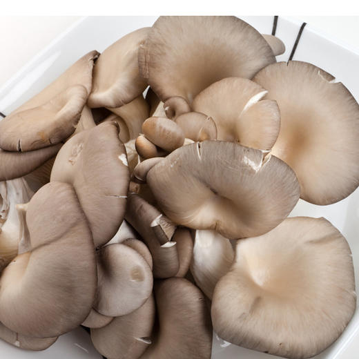 【3.98元2斤】蘑菇（1500077） 商品图0