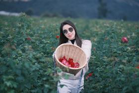 云南鲜花饼-寻找中国地理标志产品