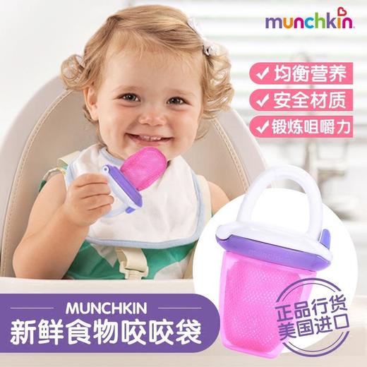美国Munchkin满趣健宝宝婴幼儿食物咬咬袋水果蔬菜辅食磨牙训练器   4个月以上 商品图1