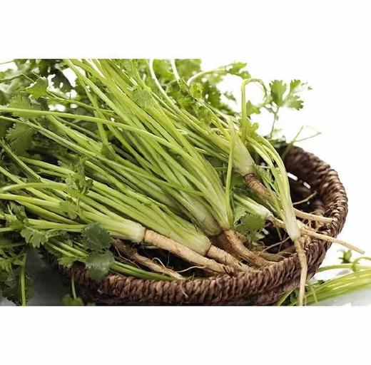 【蔬】香菜 约50g 商品图4