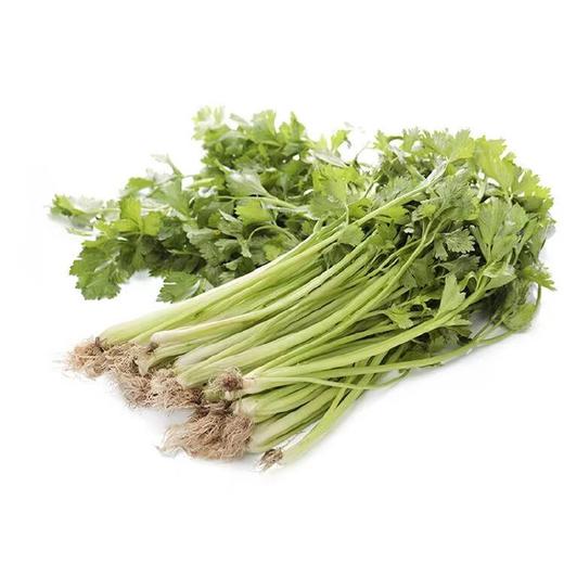 【蔬】芹菜 250g份 商品图1