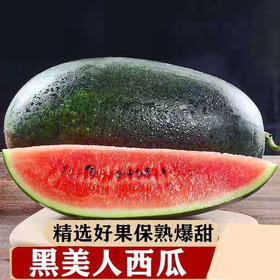 越南黑美人大西瓜   （5斤~8斤装）