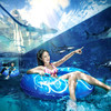 三亚亚特兰蒂斯水世界 商品缩略图2