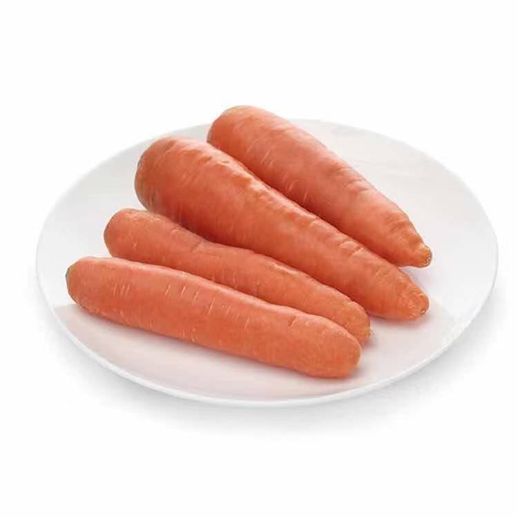 【蔬】胡萝卜 一根约300g