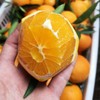 奉节脐橙10斤 果径65以上 商品缩略图1