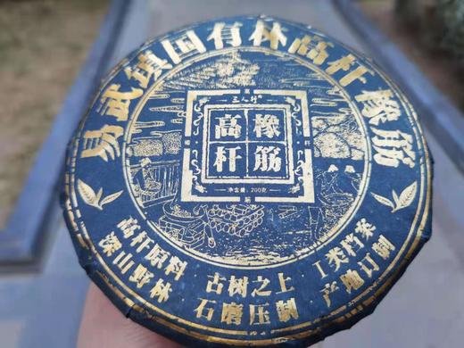 2020春  易武  高杆橡筋  古树之上 普洱 生茶  200克 商品图1
