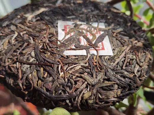 2020春  易武  高杆橡筋  古树之上 普洱 生茶  200克 商品图2