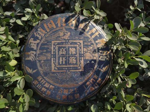 2020春  易武  高杆橡筋  古树之上 普洱 生茶  200克 商品图0