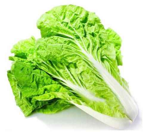 【蔬】黄叶菜 约600g 商品图0