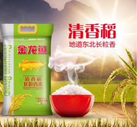 金龙鱼清香稻长粒香5Kg21900952