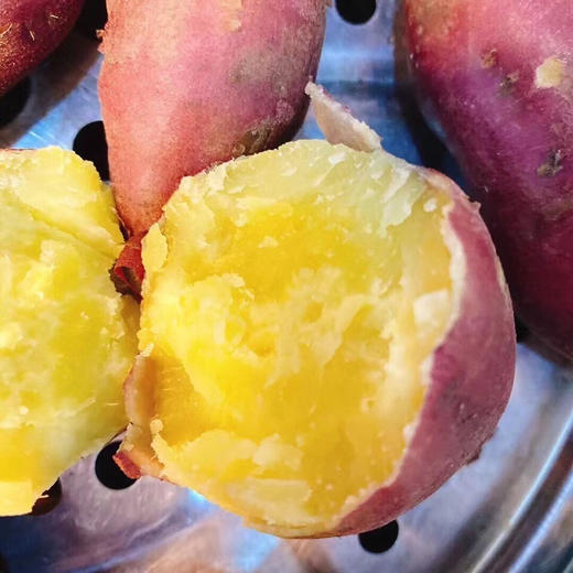 【下单后48小时左右发货】海南沙土 鸣门金时 地瓜 5斤装左右中果（约10-16个左右） 商品图9