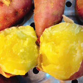 【下单后48小时左右发货】海南沙土 鸣门金时 地瓜 5斤装左右中果（约10-16个左右）