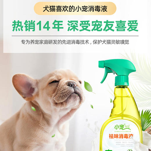 小宠祛味消毒液500ml 宠物去味除臭猫咪香水环境去尿味除味剂 犬猫通用 商品图5
