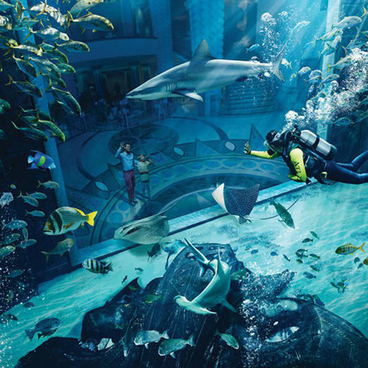 三亚亚特兰蒂斯失落的空间水族馆 商品图4