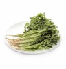 【蔬】香菜 约50g 商品缩略图0