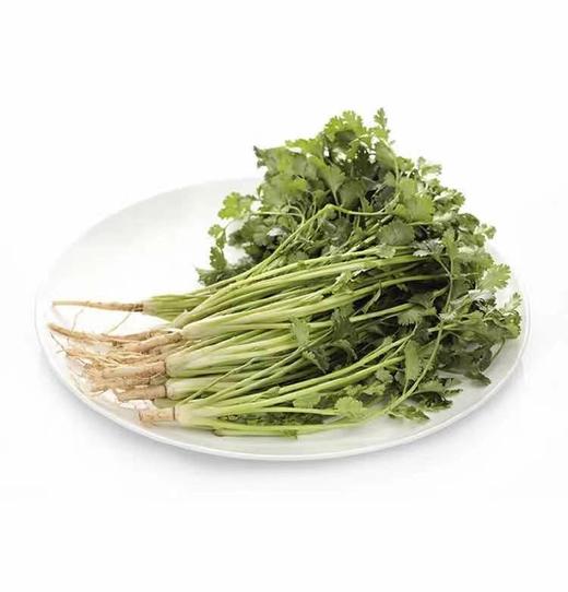 【蔬】香菜 约50g 商品图0