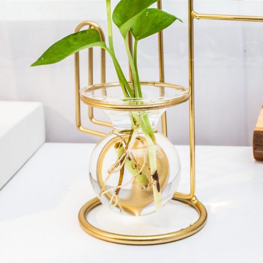 【创意家居】*透明养花瓶插花容器绿萝水培植物花盆玻璃器皿桌面家居装饰品摆件 商品图2