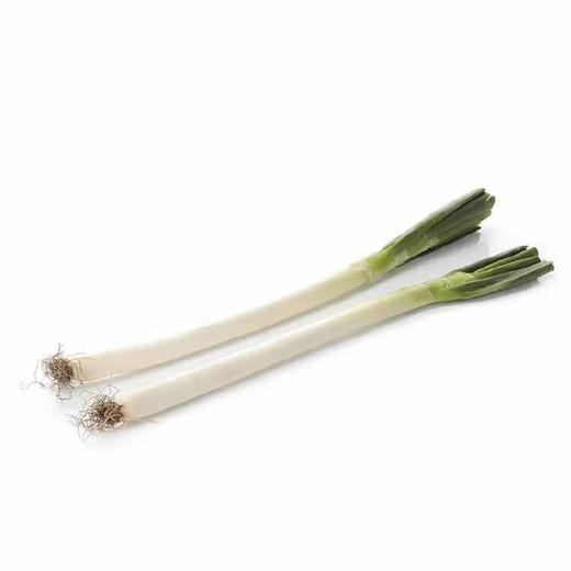 【蔬】大葱 1根约220g 商品图0