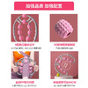 瑜伽美腿 新款环形夹腿滚轮按摩器 商品缩略图4