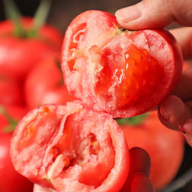 普罗旺斯西红柿大番茄 净重6斤