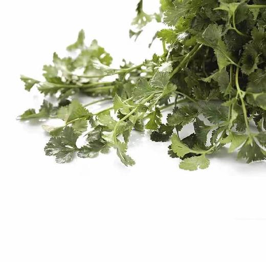 【蔬】香菜 约50g 商品图2