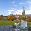 卷云 长相思干白葡萄酒 2020 | 陶然天 CIRRO, Sauvignon Blanc - Marlborough 商品缩略图1