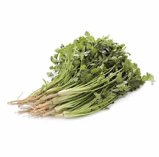 【蔬】香菜 约50g 商品图1