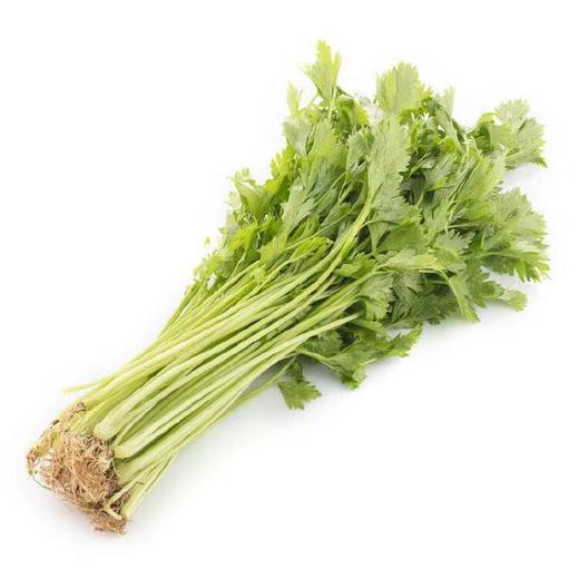 【蔬】芹菜 250g份 商品图0