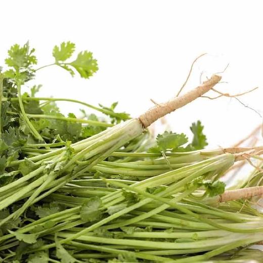 【蔬】香菜 约50g 商品图3