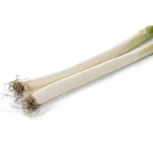 【蔬】大葱 1根约220g 商品图1