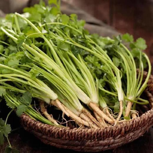 【蔬】香菜 约50g 商品图5