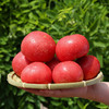 普罗旺斯西红柿大番茄 净重6斤 商品缩略图1