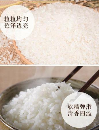 金元宝优选东北大米10kg21900860 商品图1