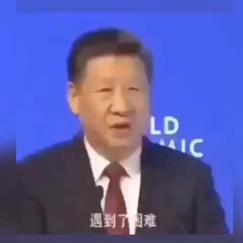 mjz测试证书33 商品图0