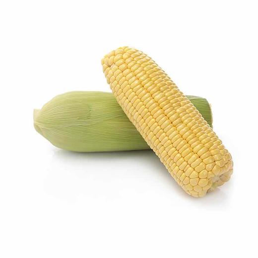 【蔬】新鲜甜玉米 2根约620g 商品图1